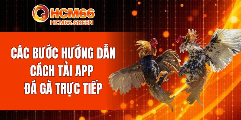 Các bước hướng dẫn cách tải app đá gà trực tiếp