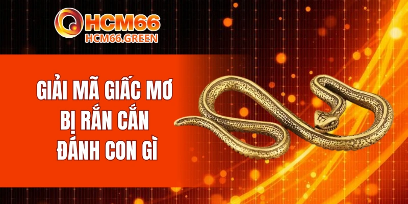 Giải mã giấc mơ bị rắn cắn đánh con gì