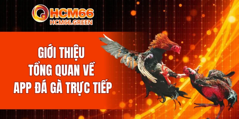 Giới thiệu tổng quan về app đá gà trực tiếp