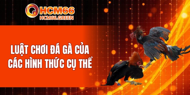 Luật chơi đá gà của các hình thức cụ thể