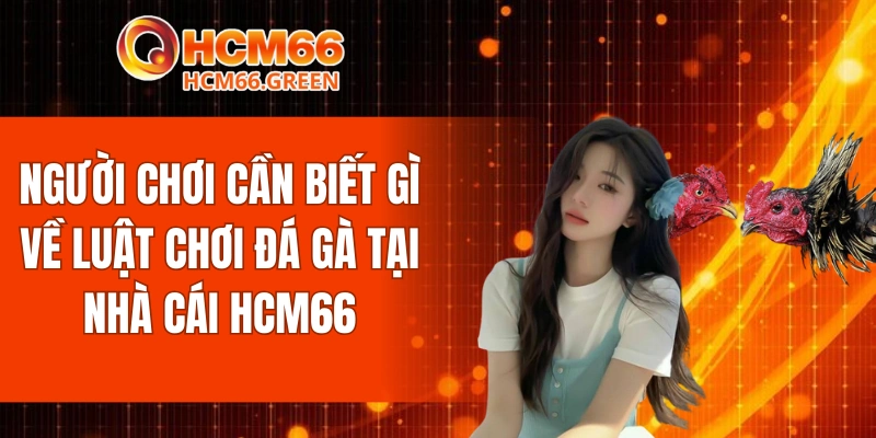 Luật Chơi Đá Gà