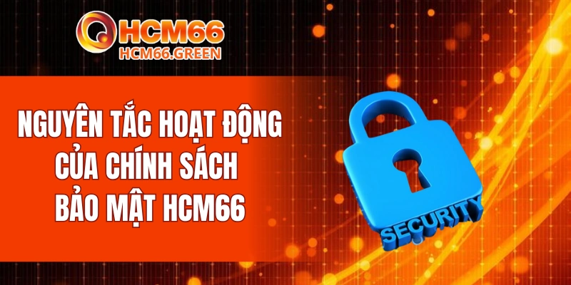 Nguyên tắc hoạt động của chính sách bảo mật HCM66