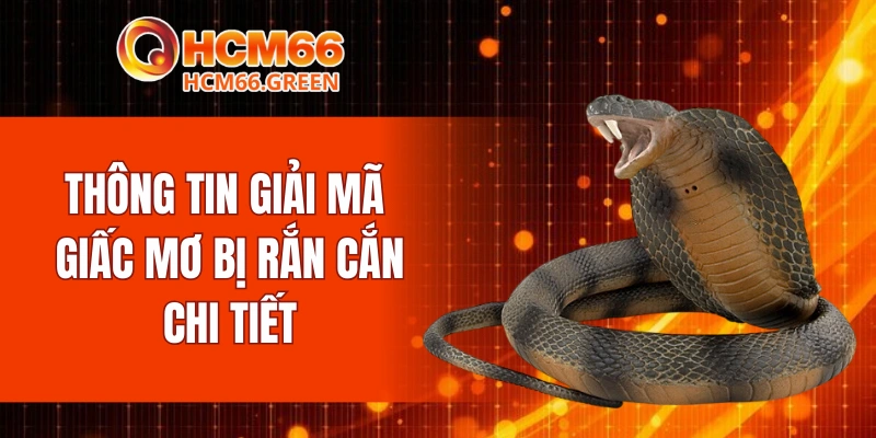 Thông tin giải mã giấc mơ bị rắn cắn chi tiết