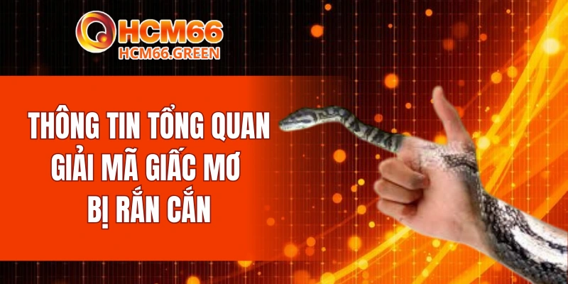 Thông tin tổng quan giải mã giấc mơ bị rắn cắn