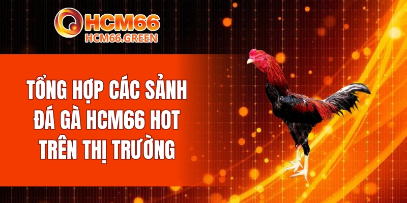 Đá Gà HCM66 5 Tổng hợp các sảnh đá gà HCM66 hot trên thị trường